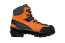 tsl_schuh_cosmic